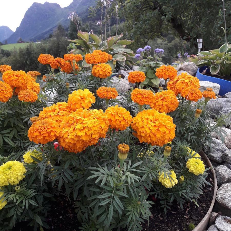 Naustvoll Villa Olden Bagian luar foto