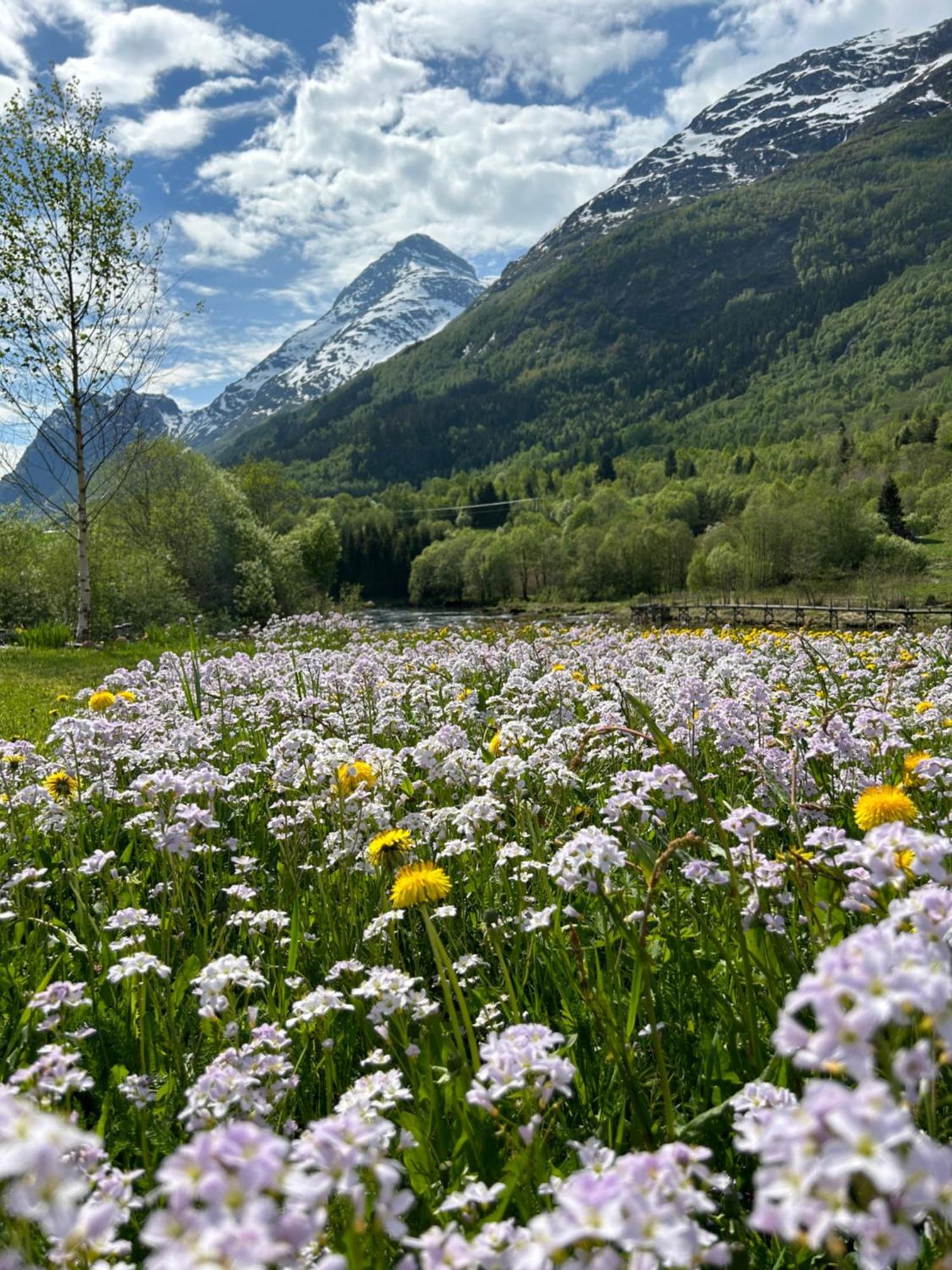 Naustvoll Villa Olden Bagian luar foto